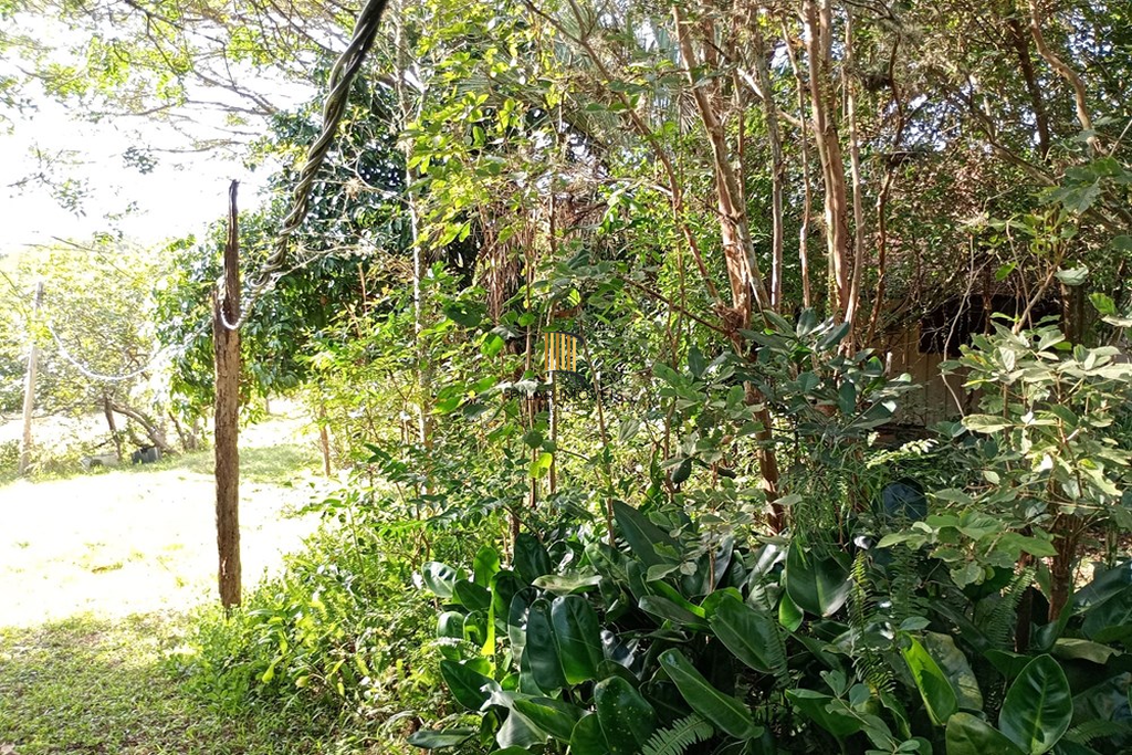 Fazenda no bairro Belém Novo