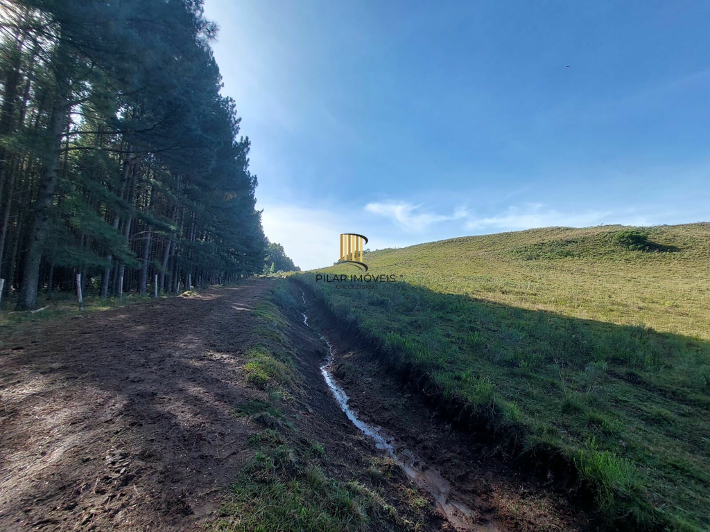 Fazenda no bairro Fazenda Souza