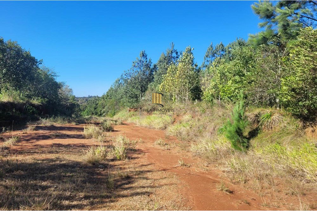 Terreno no bairro São Lucas