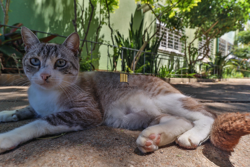 Casa 2 dormitórios no bairro Camaquã