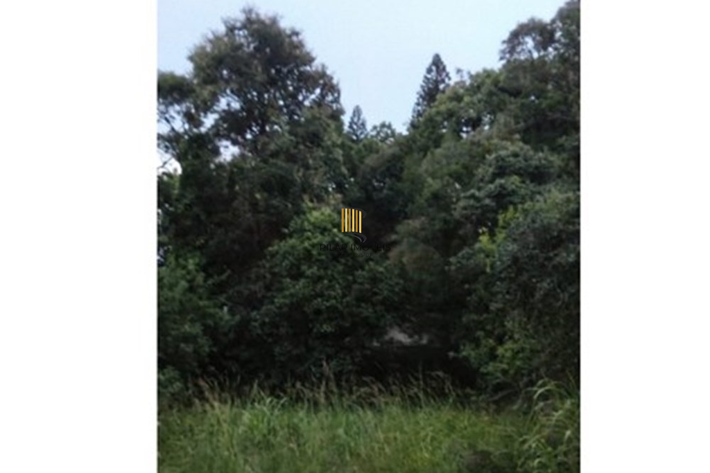 Terreno no bairro Tristeza