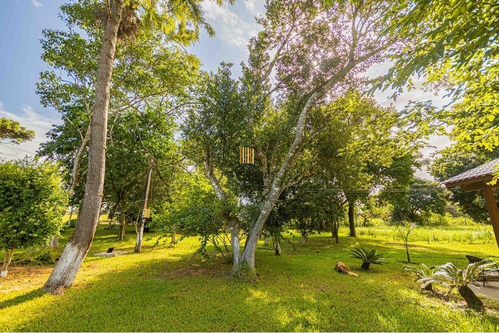 Fazenda no bairro Águas Claras