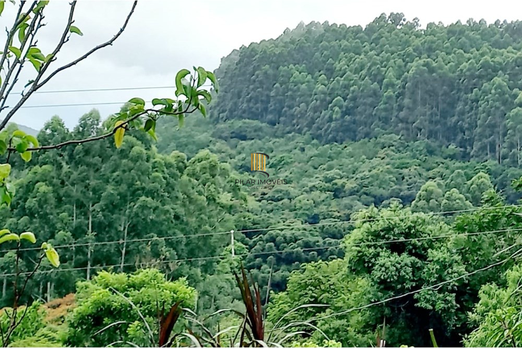 Fazenda no bairro Riozinho