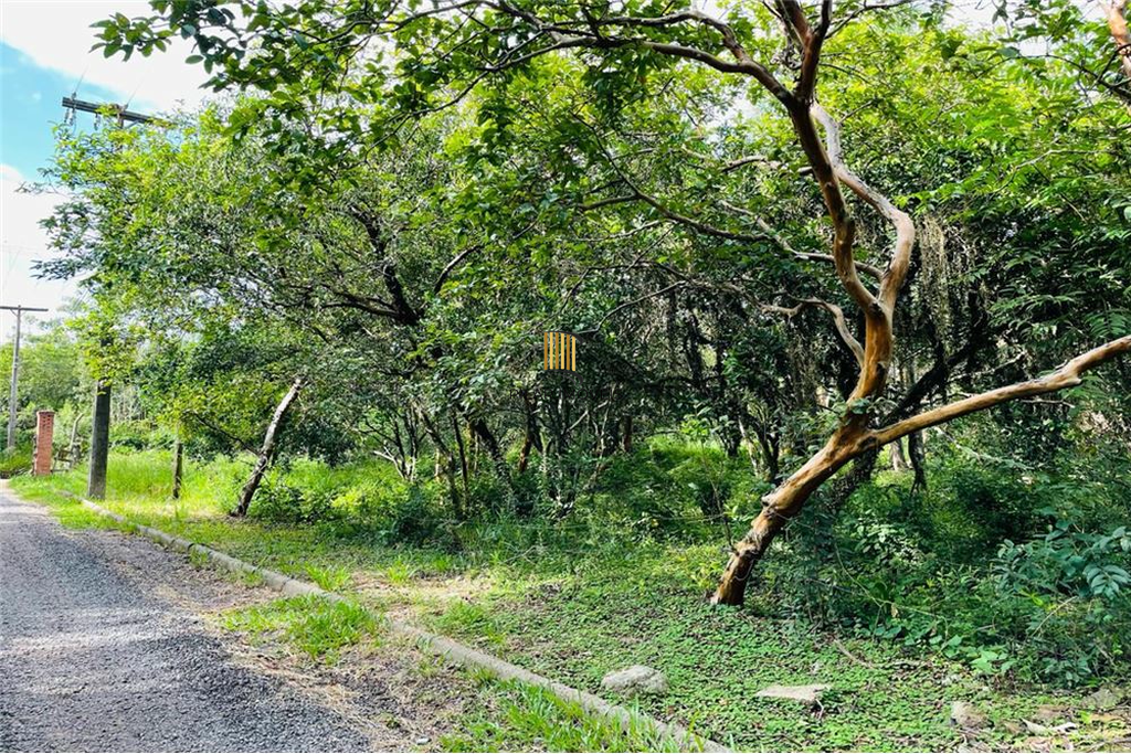 Terreno no bairro Centro - Pilar Imóveis