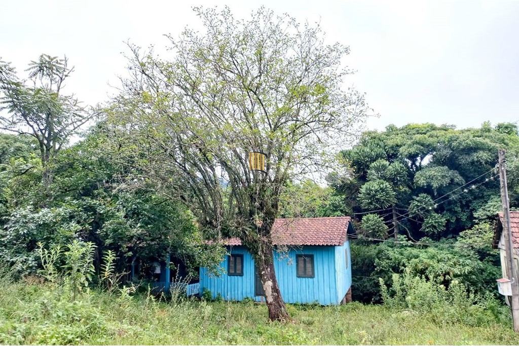 Fazenda no bairro Riozinho
