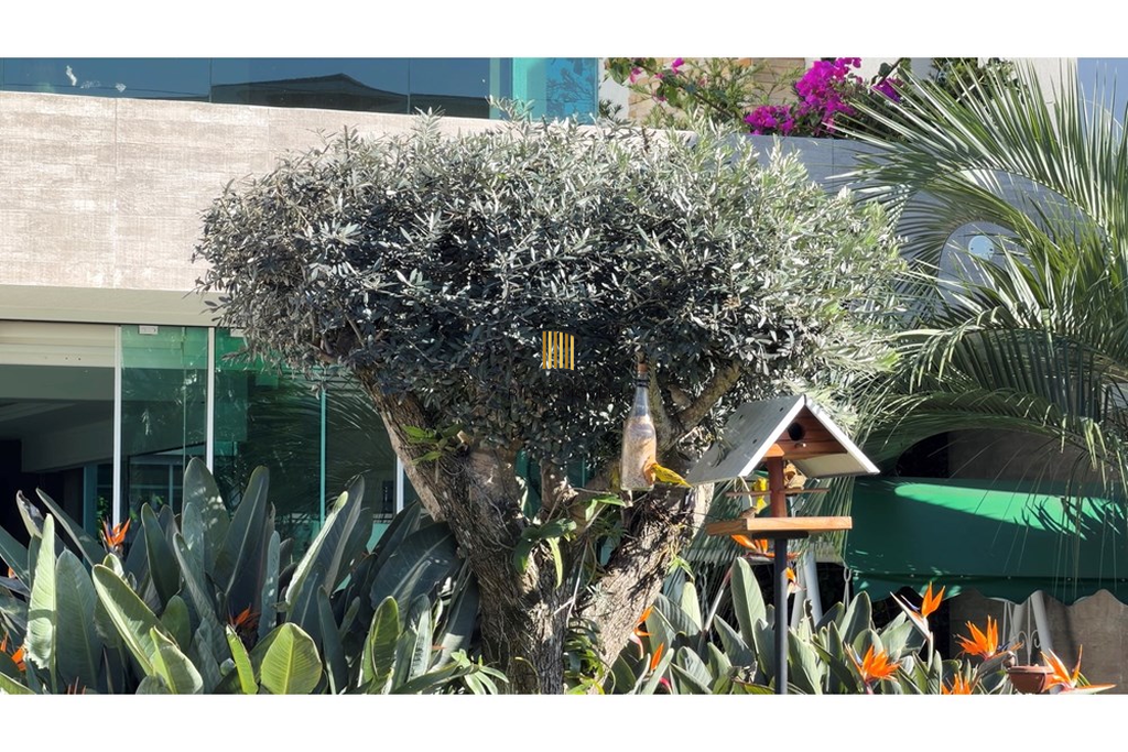 Casa de Condomínio 4 dormitórios no bairro Morada do Sol