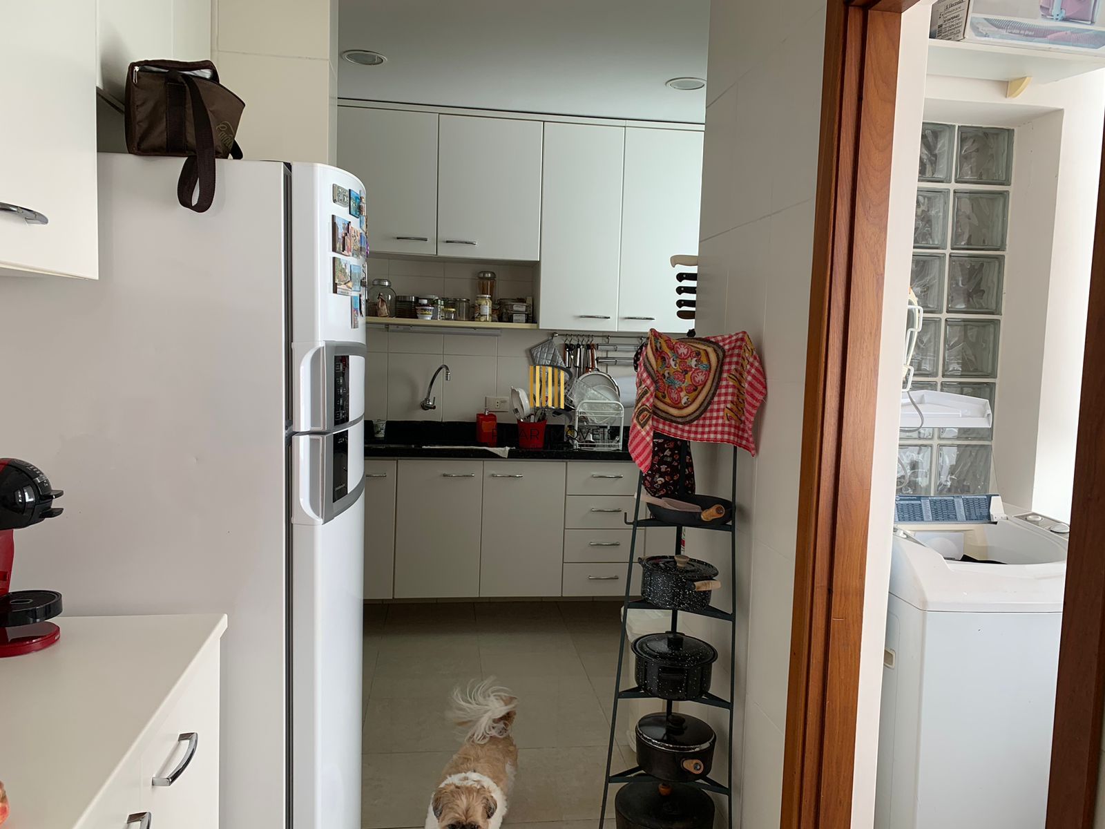 Apartamento 3 dormitórios no bairro Rio Branco