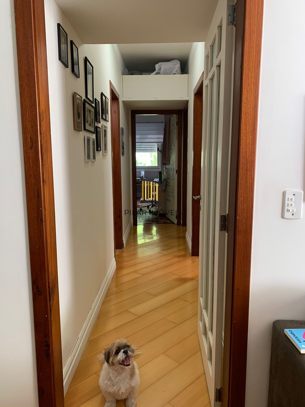 Apartamento 3 dormitórios no bairro Rio Branco