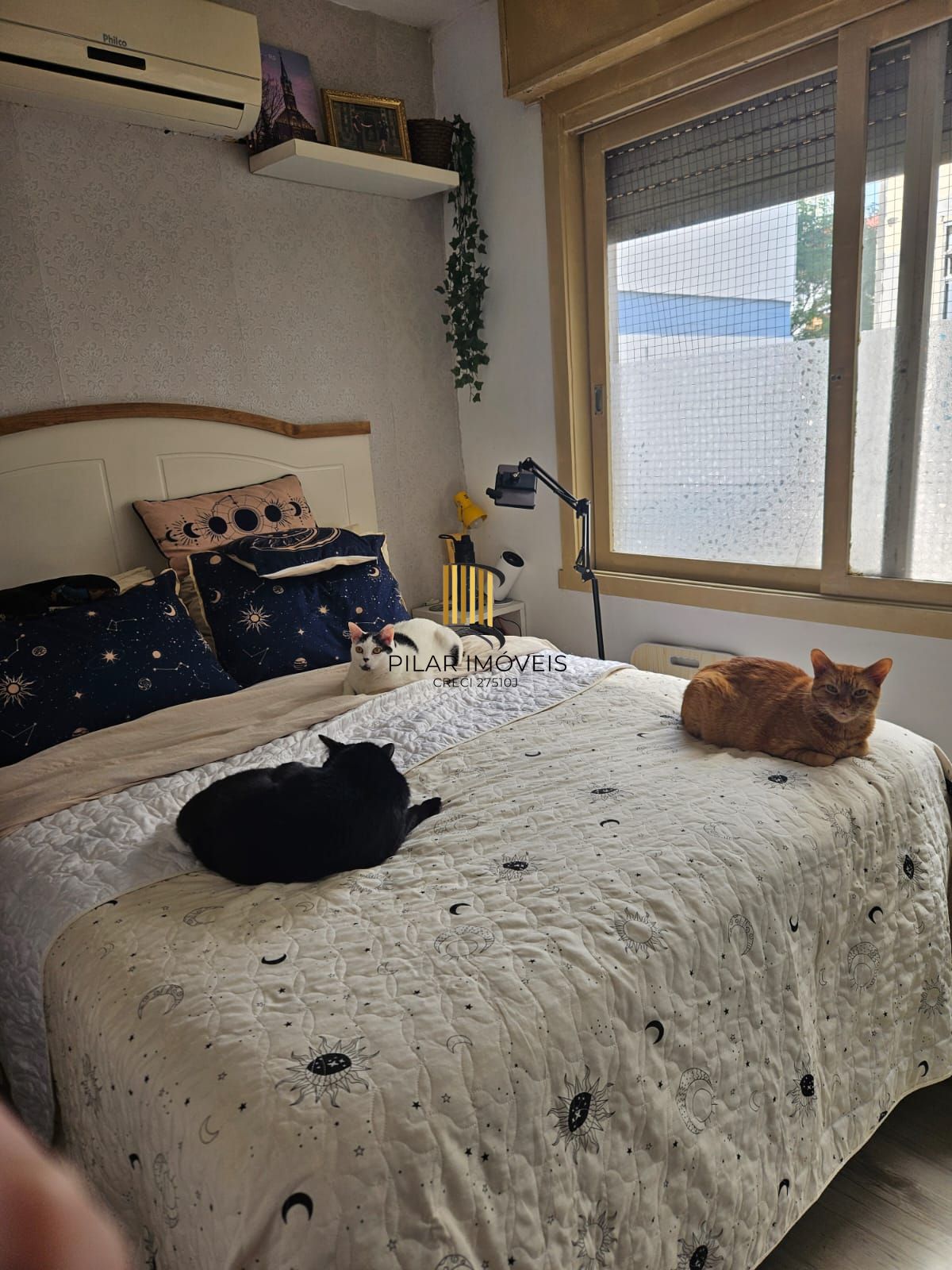 JKzão amplo, transformado  1 dormitório no bairro Santa Cecília em Porto Alegre