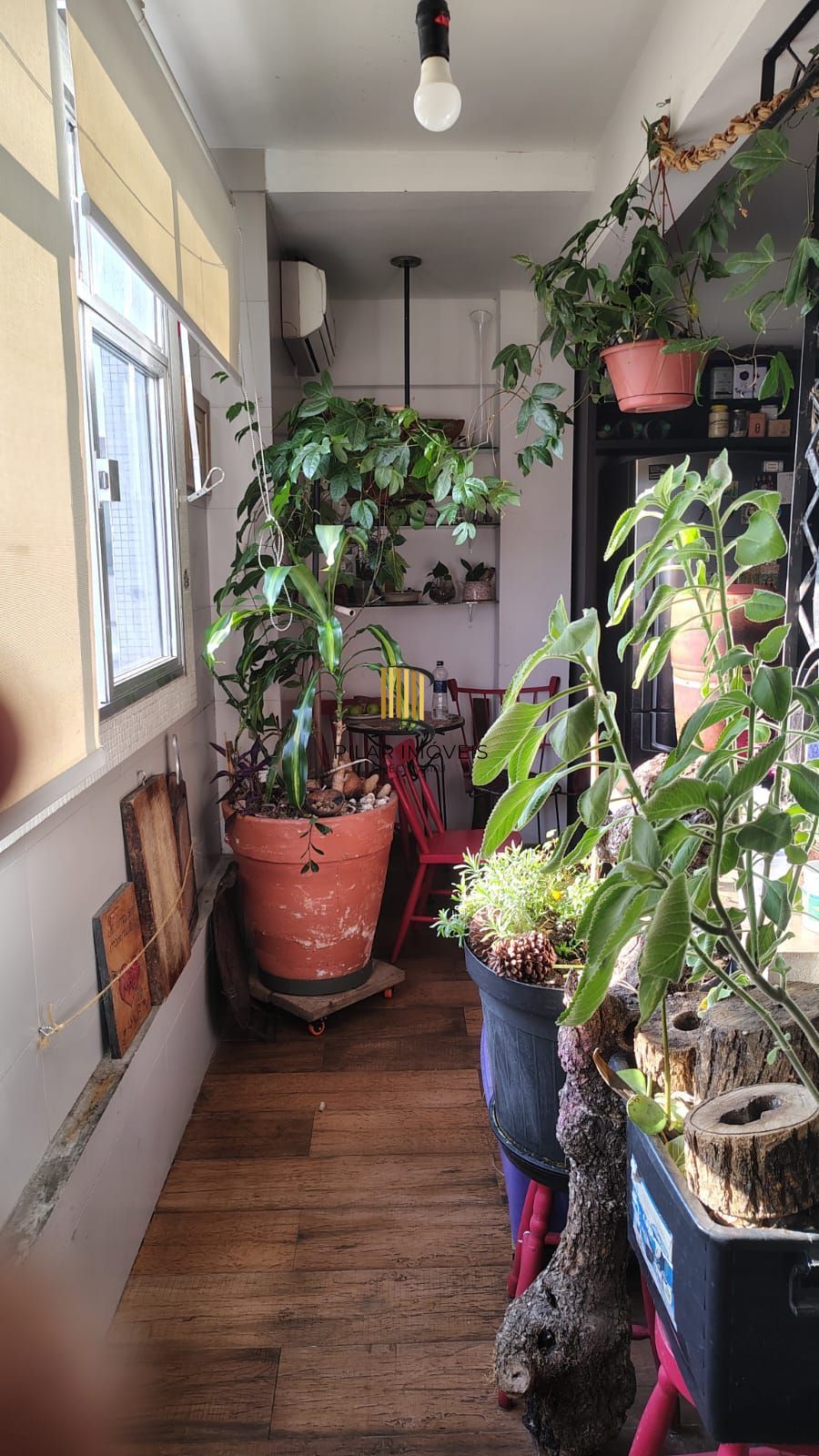 Apartamento 3 dormitórios no bairro Bom Fim