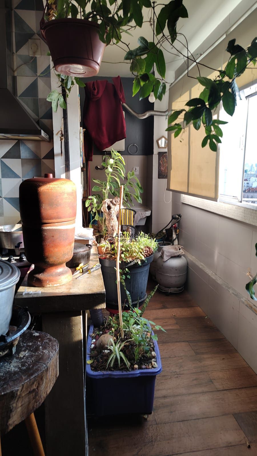 Apartamento 3 dormitórios no bairro Bom Fim