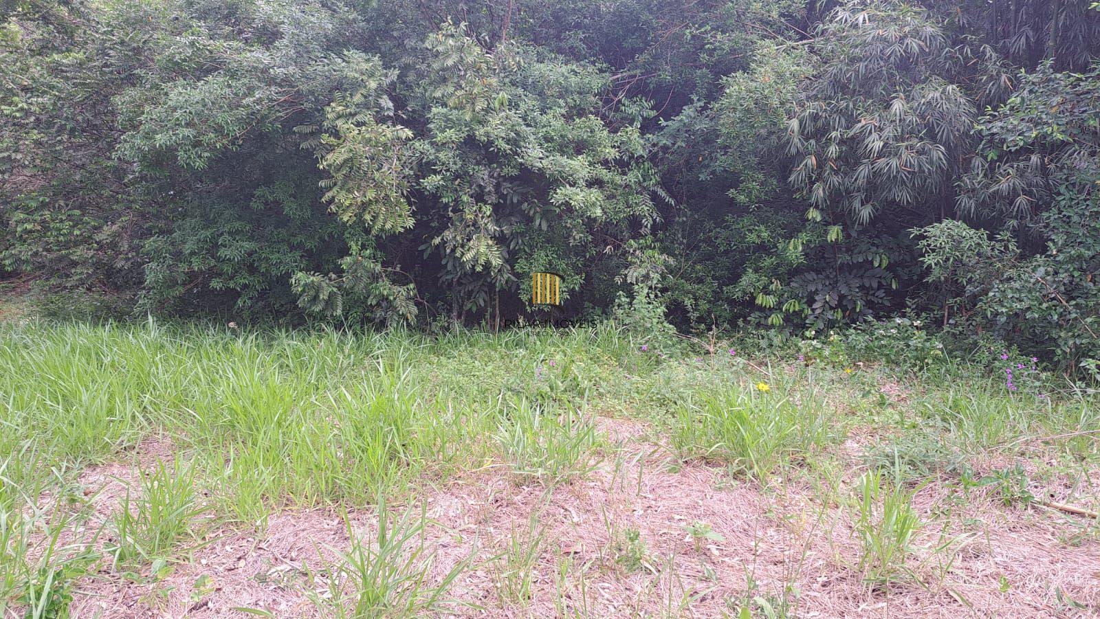 TERRENO BAIRRO EM CANOAS