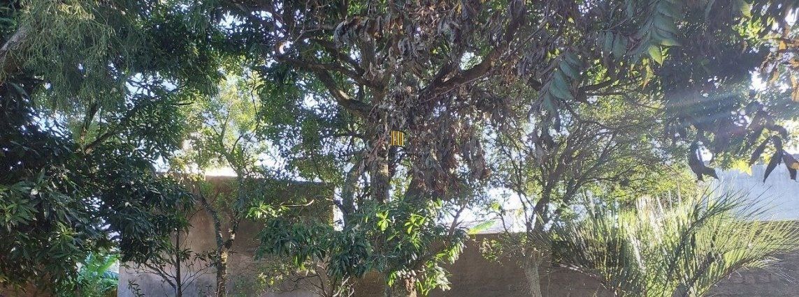 Terreno Bairro Menino Deus - Pilar Imóveis