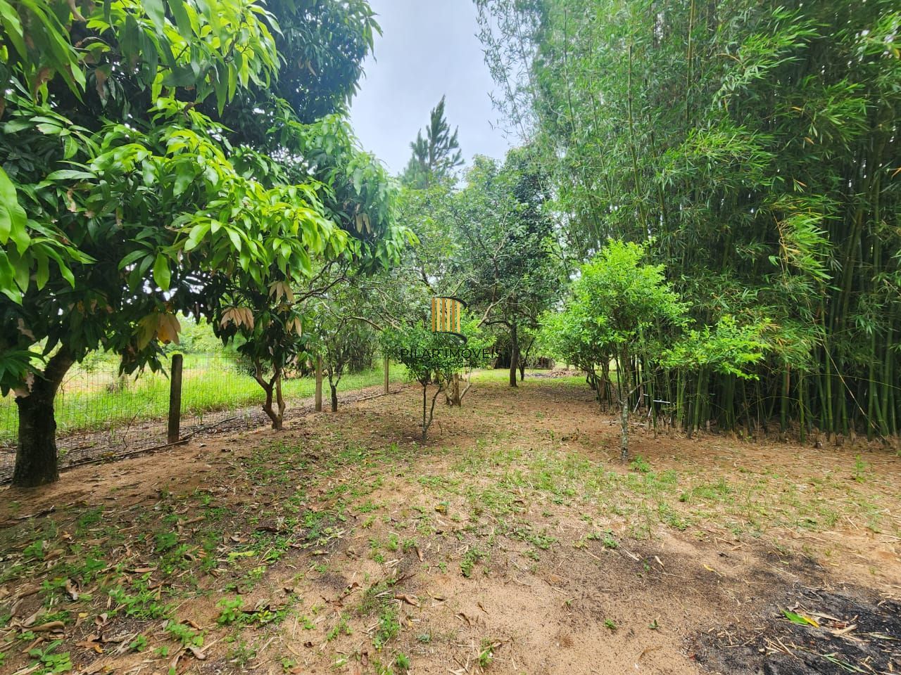 Sítio Viamão com casa 3 dormitórios