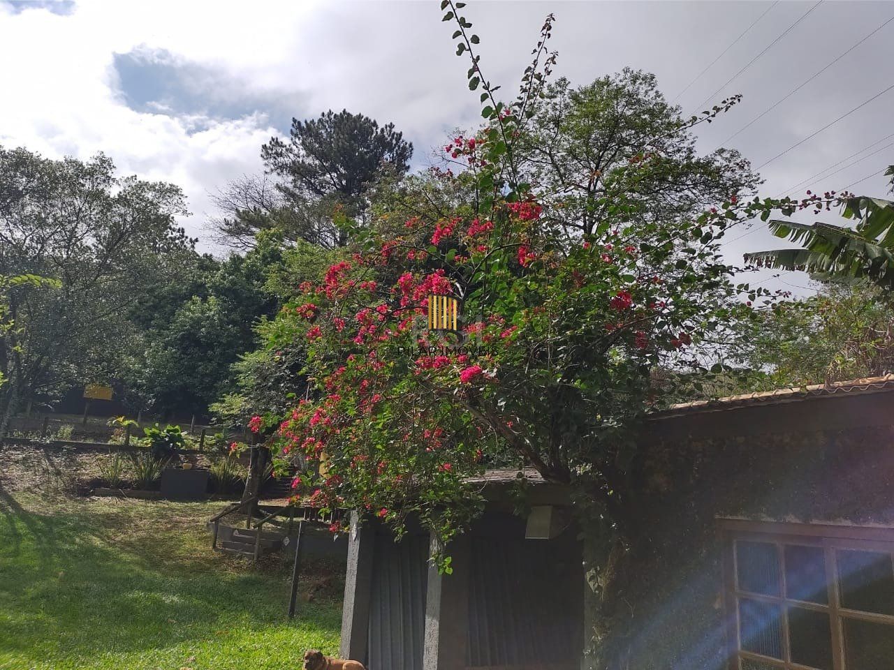 Terreno a venda no bairro Gloria - Av. Oscar Pereira