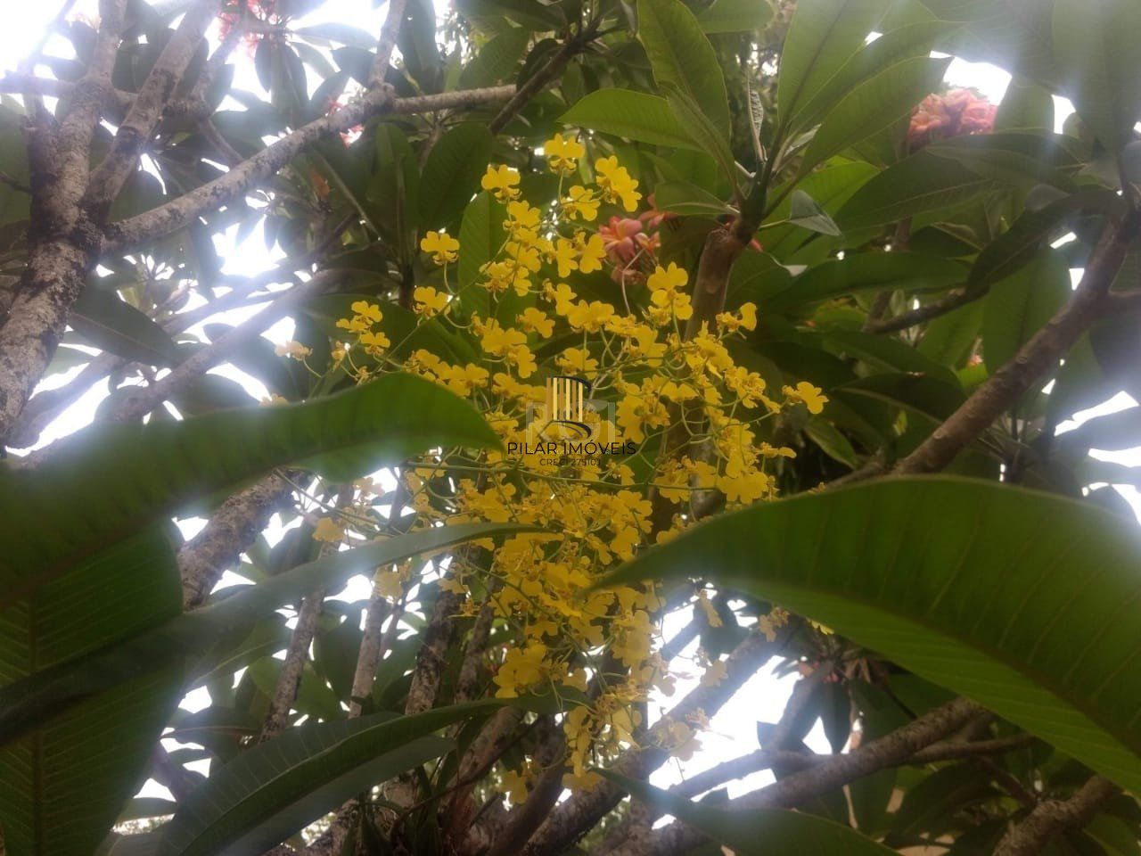 Terreno a venda no bairro Gloria - Av. Oscar Pereira