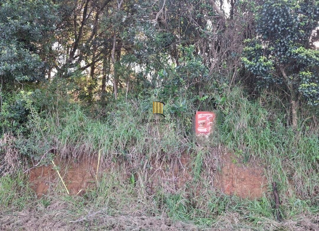 Area de terras no bairro Lageado