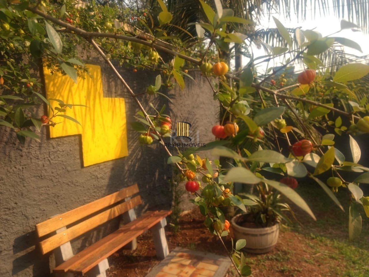 Terreno a venda no bairro Gloria - Av. Oscar Pereira
