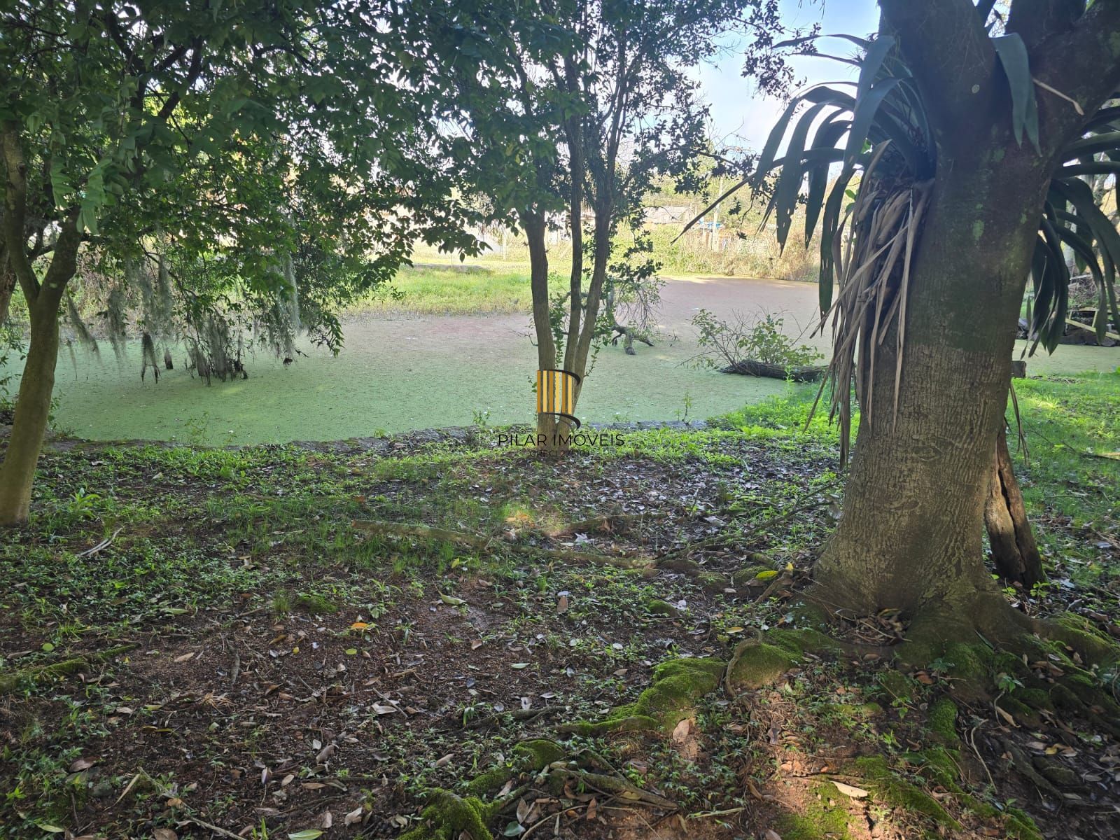 Sitio na Restinga com 2 casas e ótima oportunidade para investimento