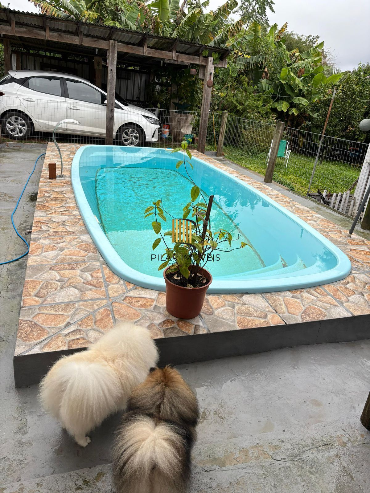 SITIO COM DUAS CASAS E PISCINA NA RESTINGA - Pilar Imóveis