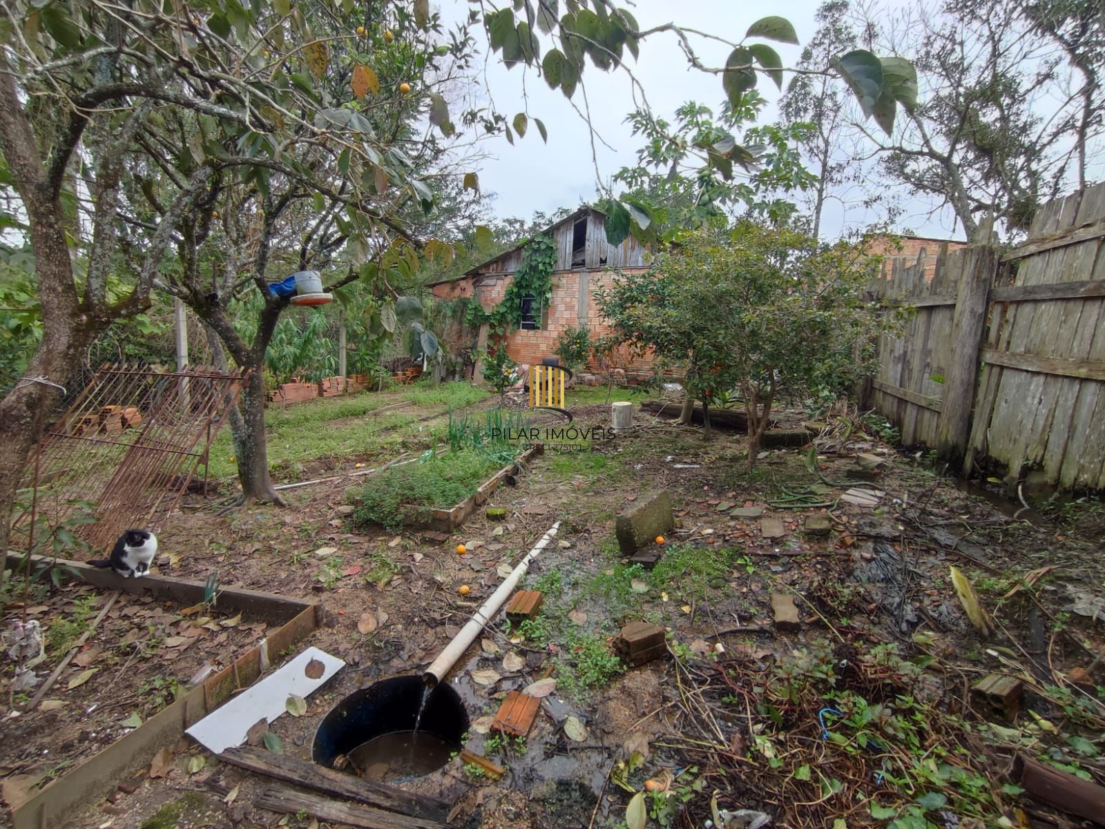 Casa no bairro Hípica