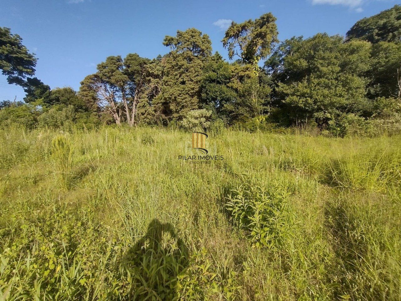 Área de terras no bairro Campo Novo
