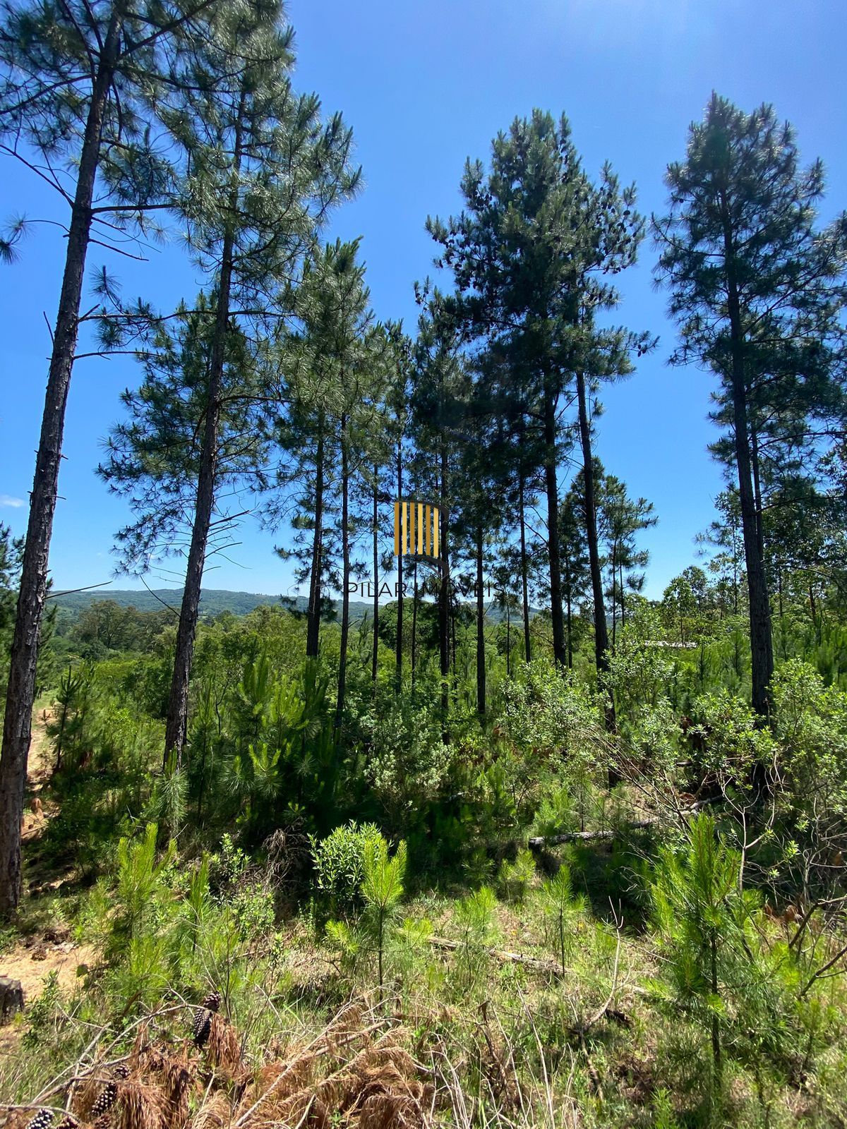 Área rural em Porto Alegre