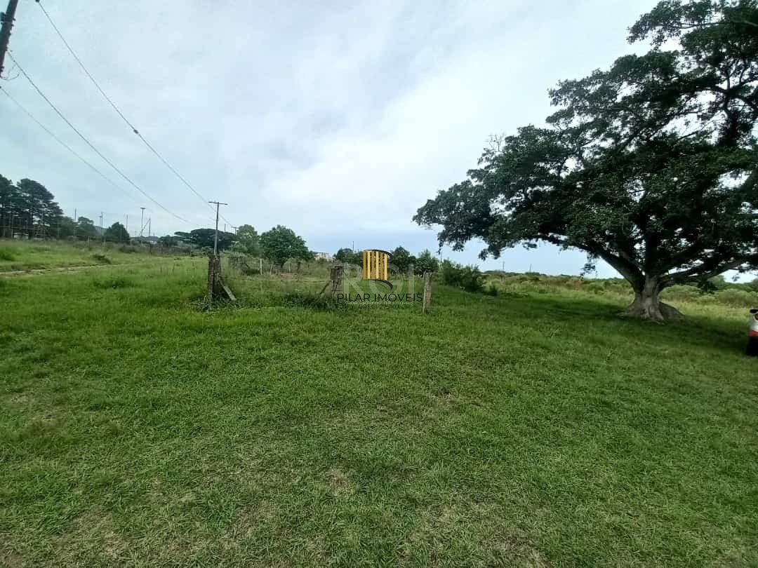 Grande Terreno na hipica