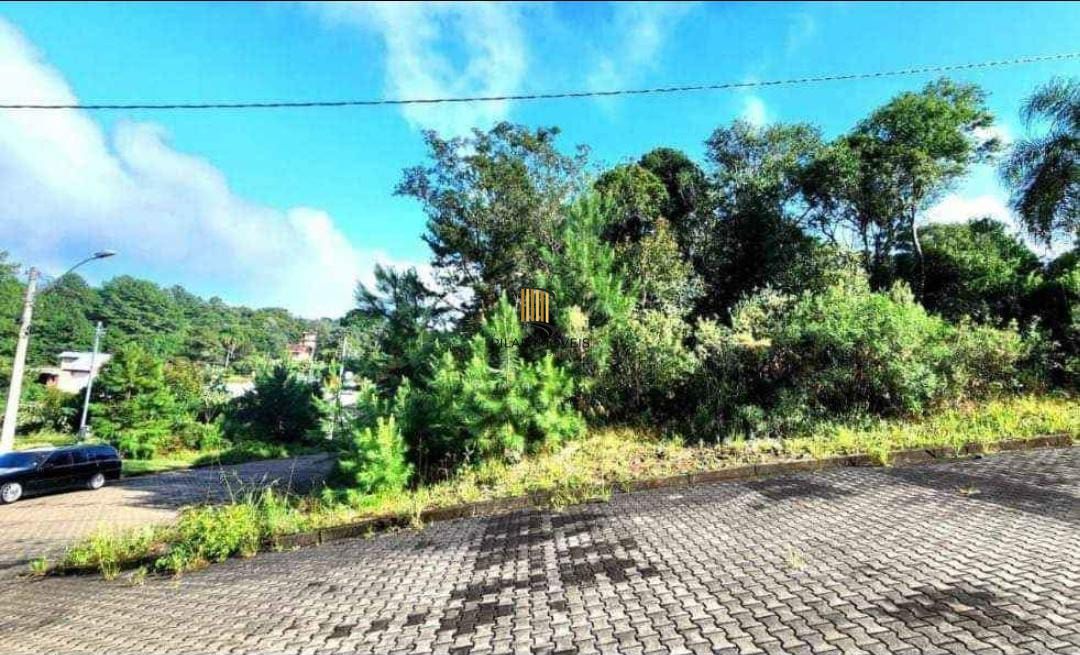 Terreno em Nova Petrópolis - Pilar Imóveis