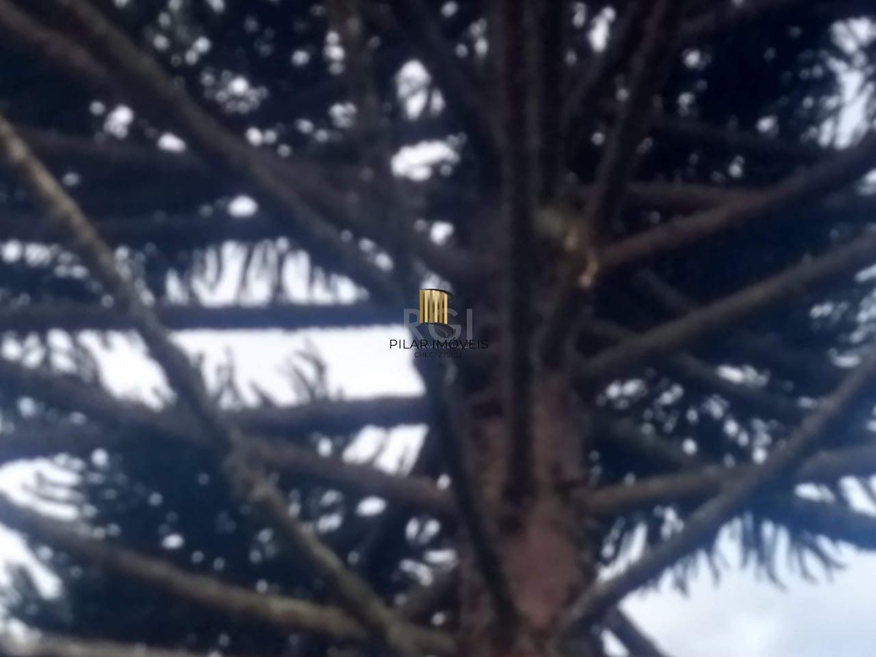 Terreno a venda no bairro Gloria - Av. Oscar Pereira