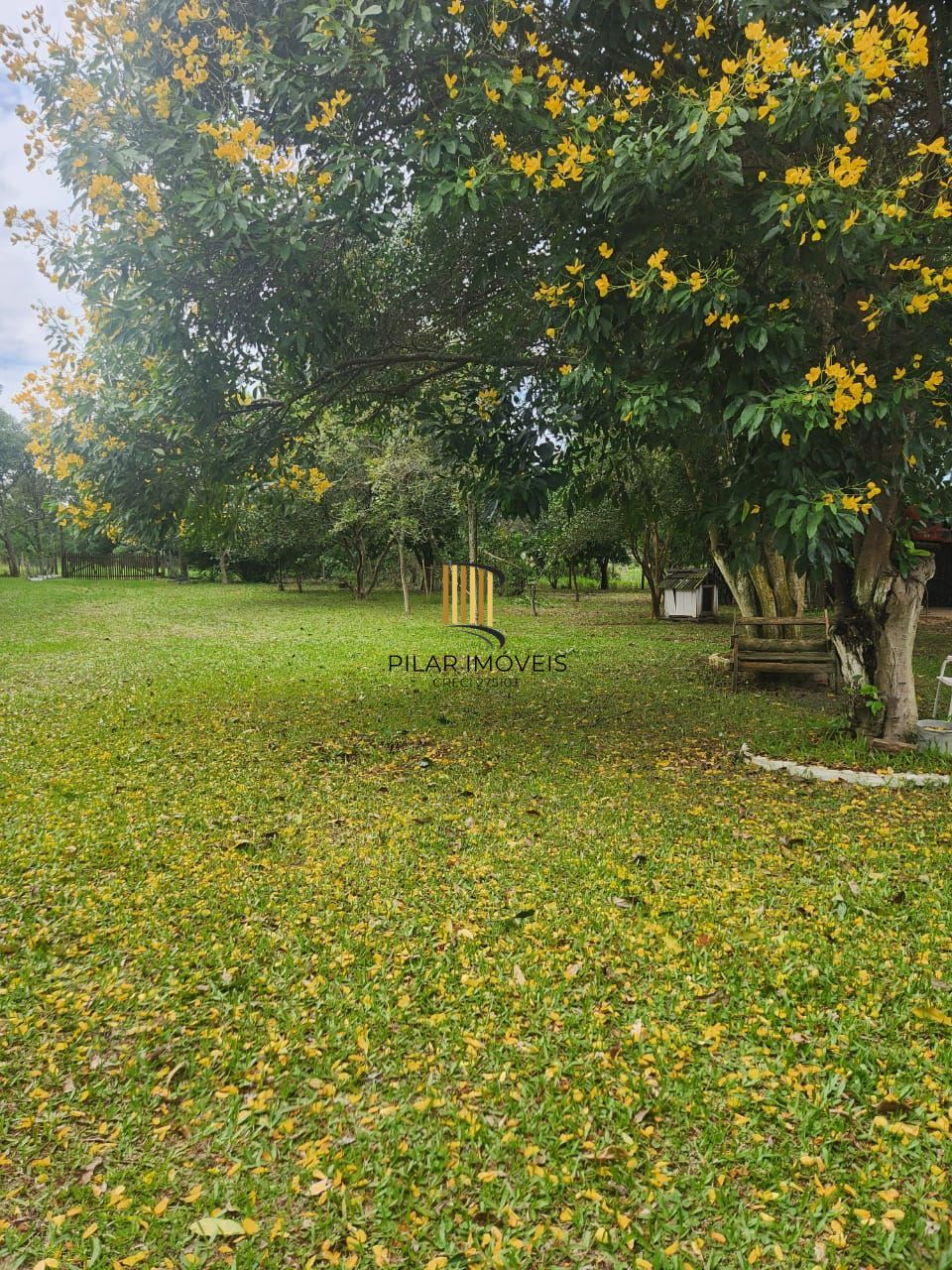 Sítio Viamão com casa 3 dormitórios