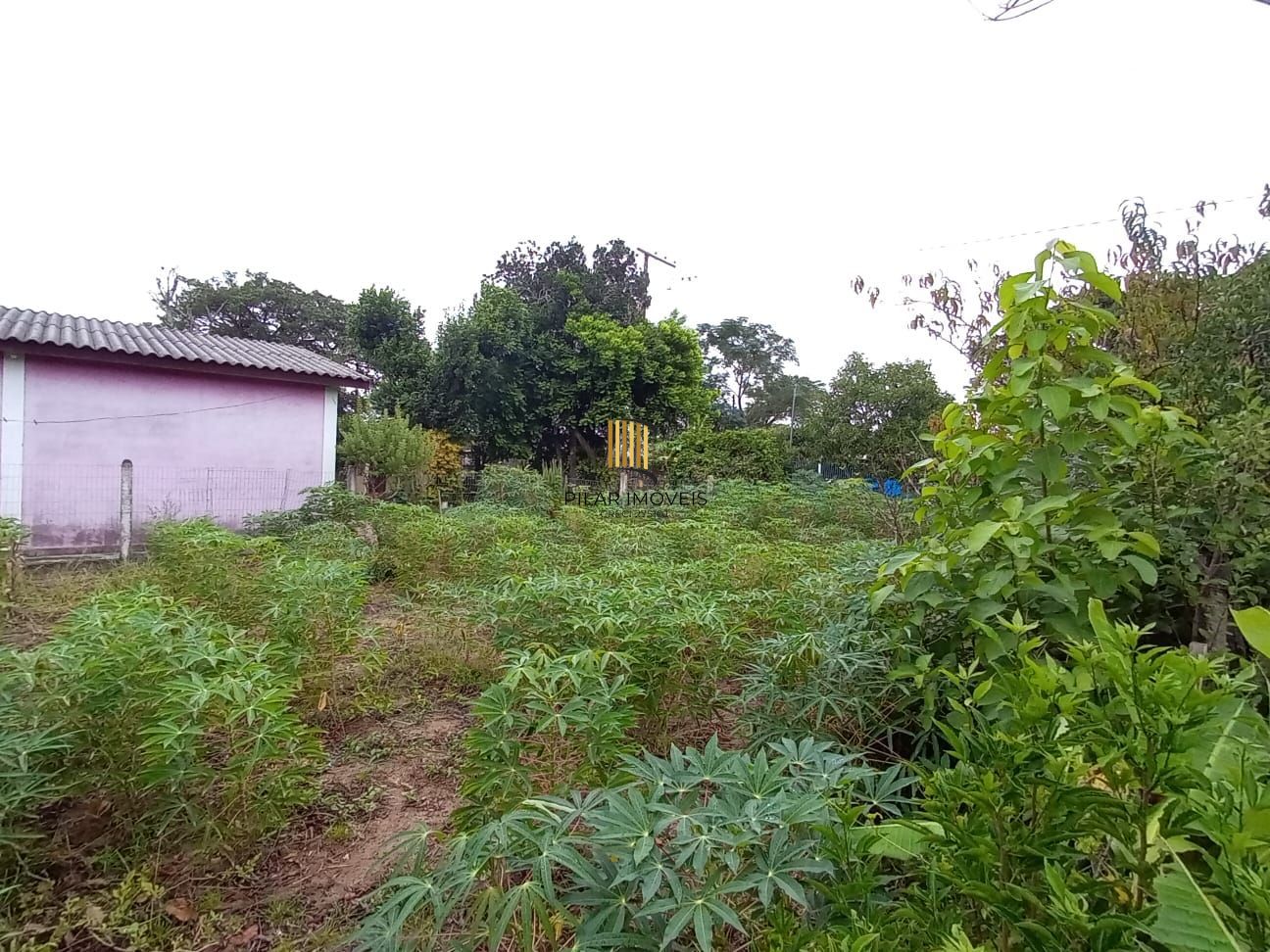 Casa no bairro Lami com terreno de 500 m²