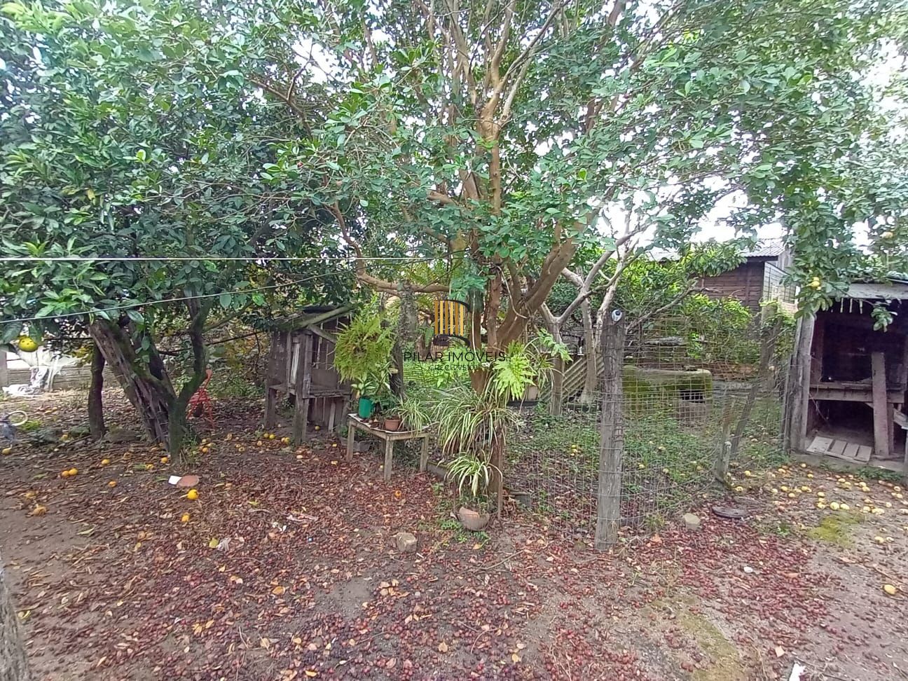 Casa no bairro Lami com terreno de 500 m²