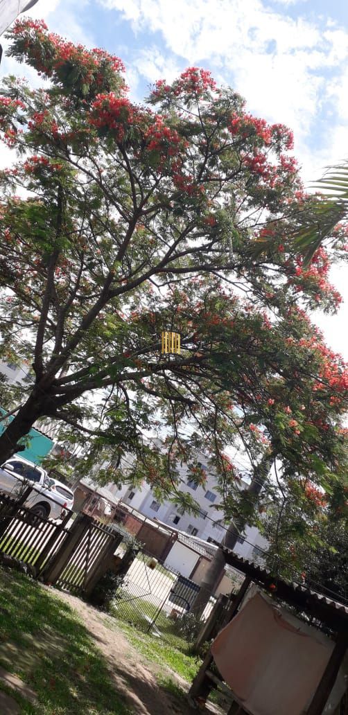 Terreno com 2 casas de Alvenaria