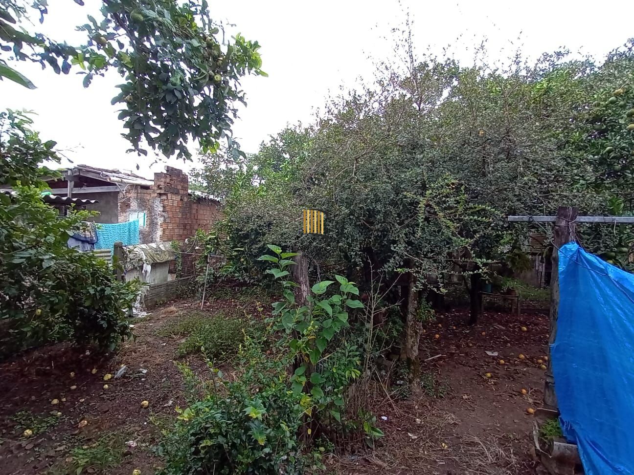 Casa no bairro Lami com terreno de 500 m²