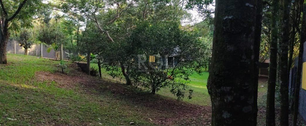 Terreno a venda no bairro Gloria - Av. Oscar Pereira