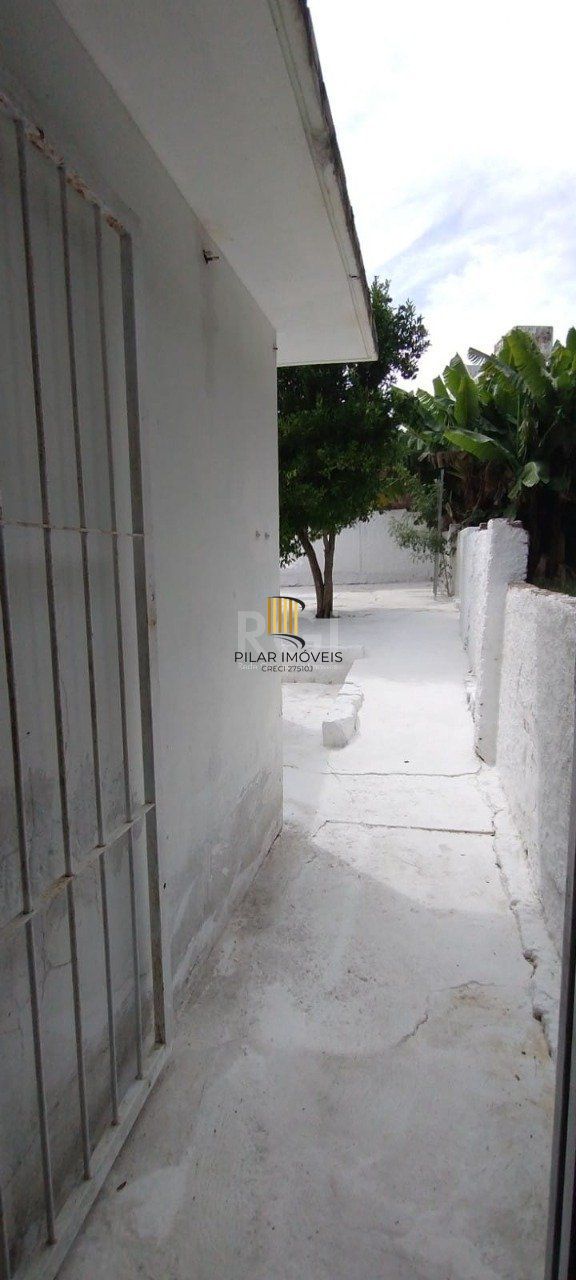 Cano no bairro Espirito Santo