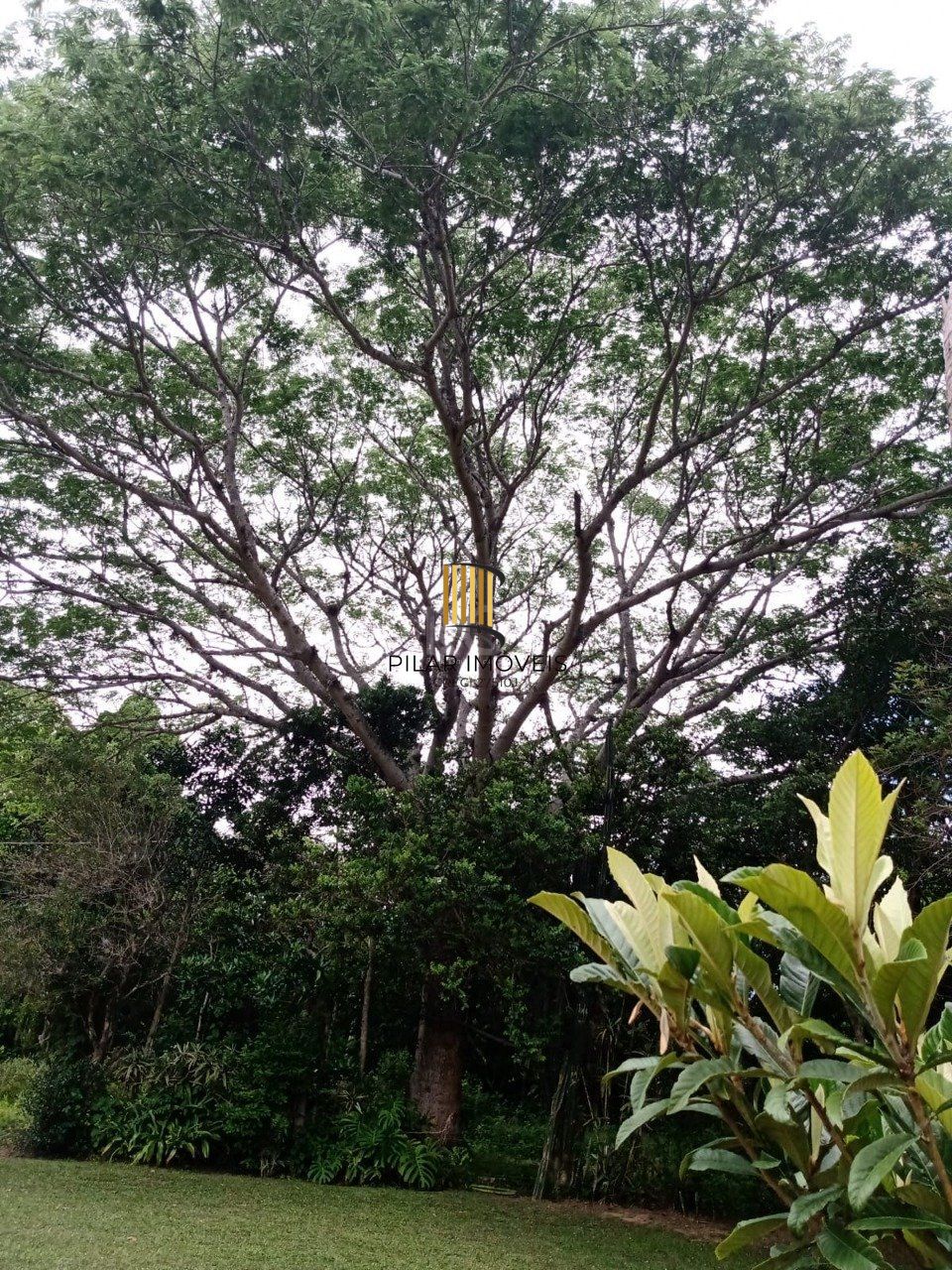 Sitio a venda em Itapuã