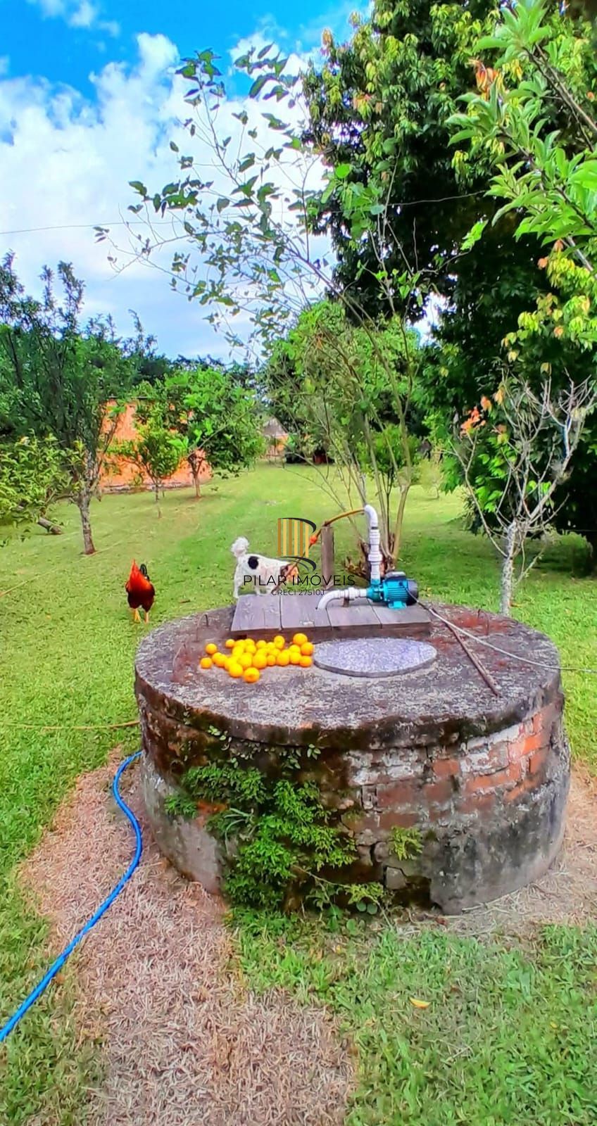 Terreno no Bairro Ponta Grossa
