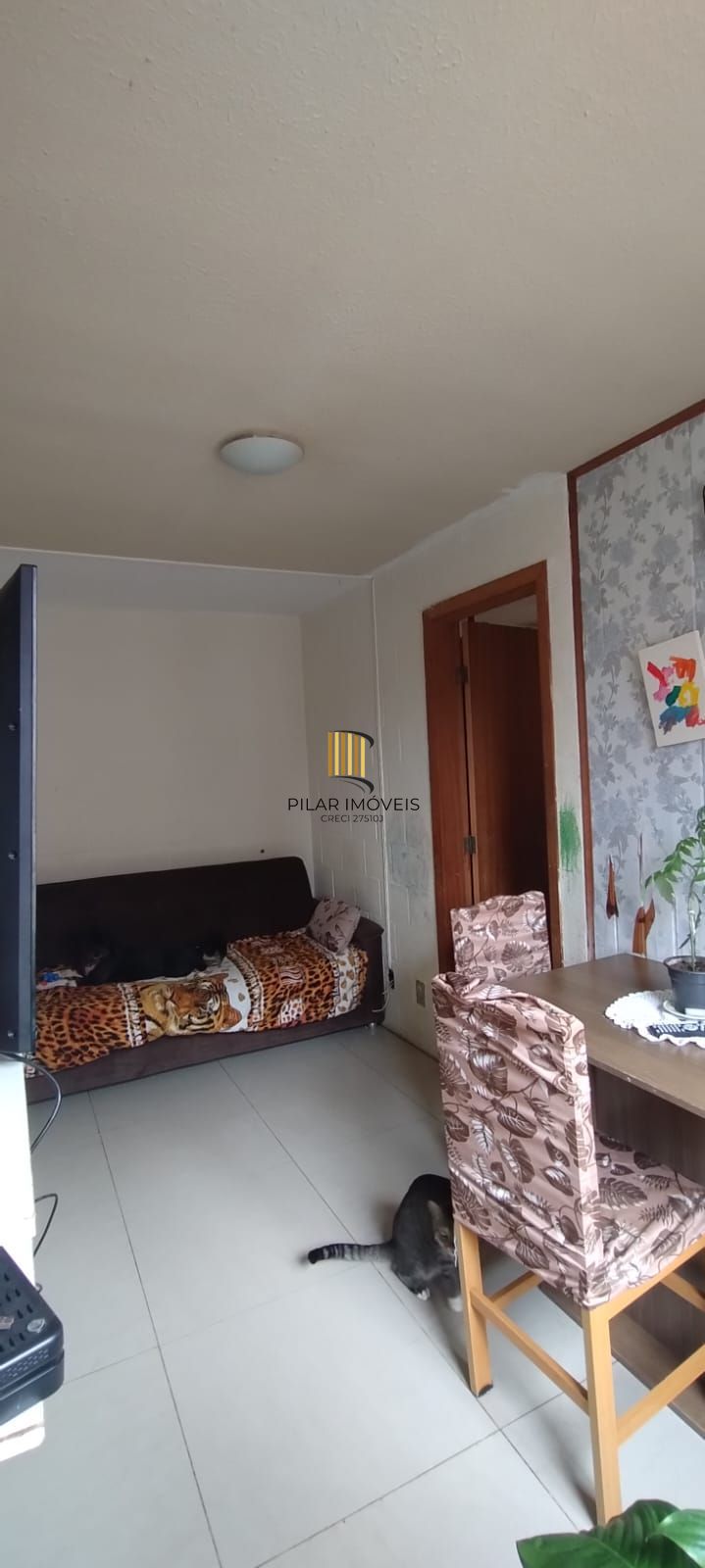 Apartamento no Bairro Vila Nova - 1D