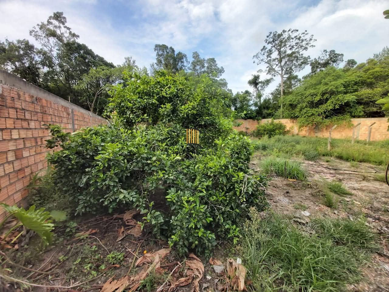 Terreno Bairro Restinga - Zona Sul