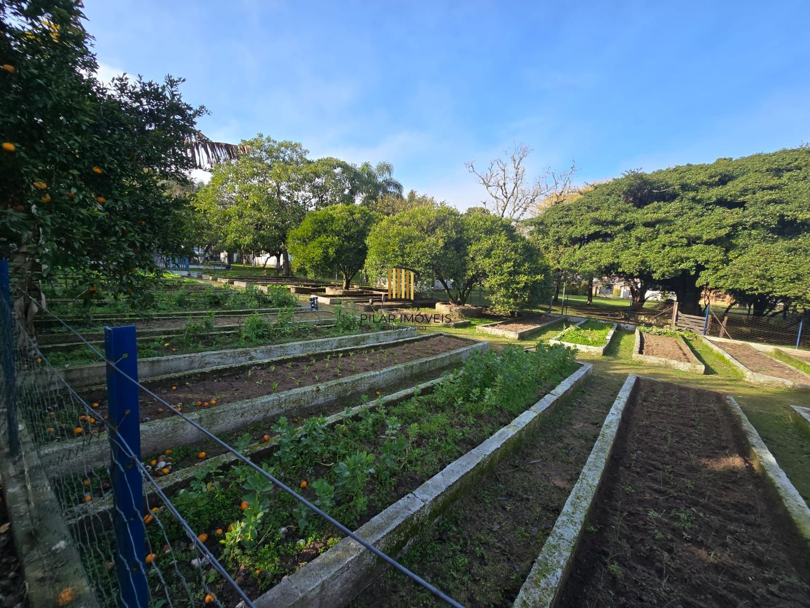 Sitio na Restinga com 2 casas e ótima oportunidade para investimento