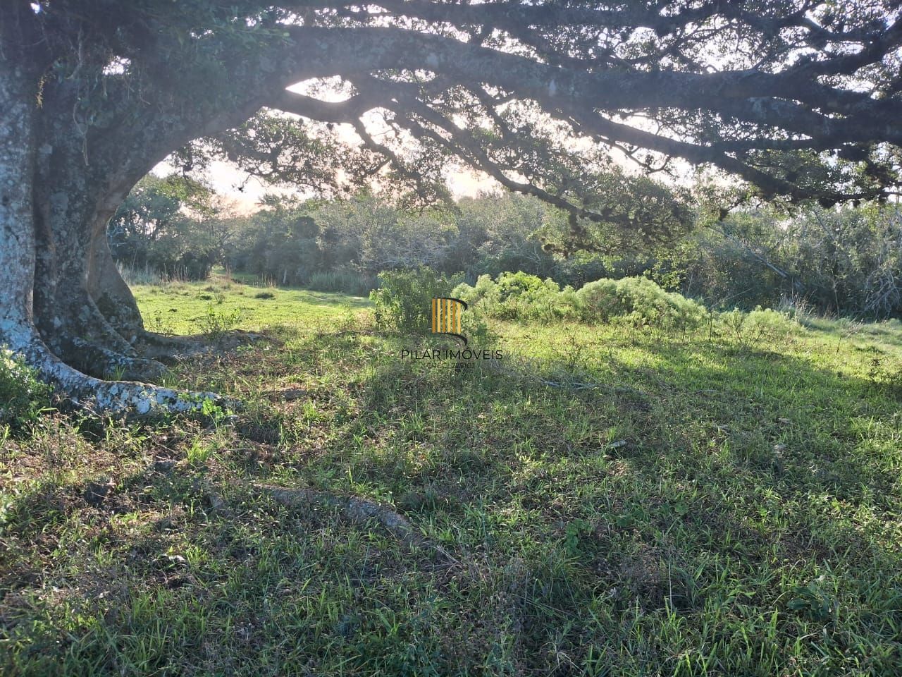 Área de terras no bairro Extrema