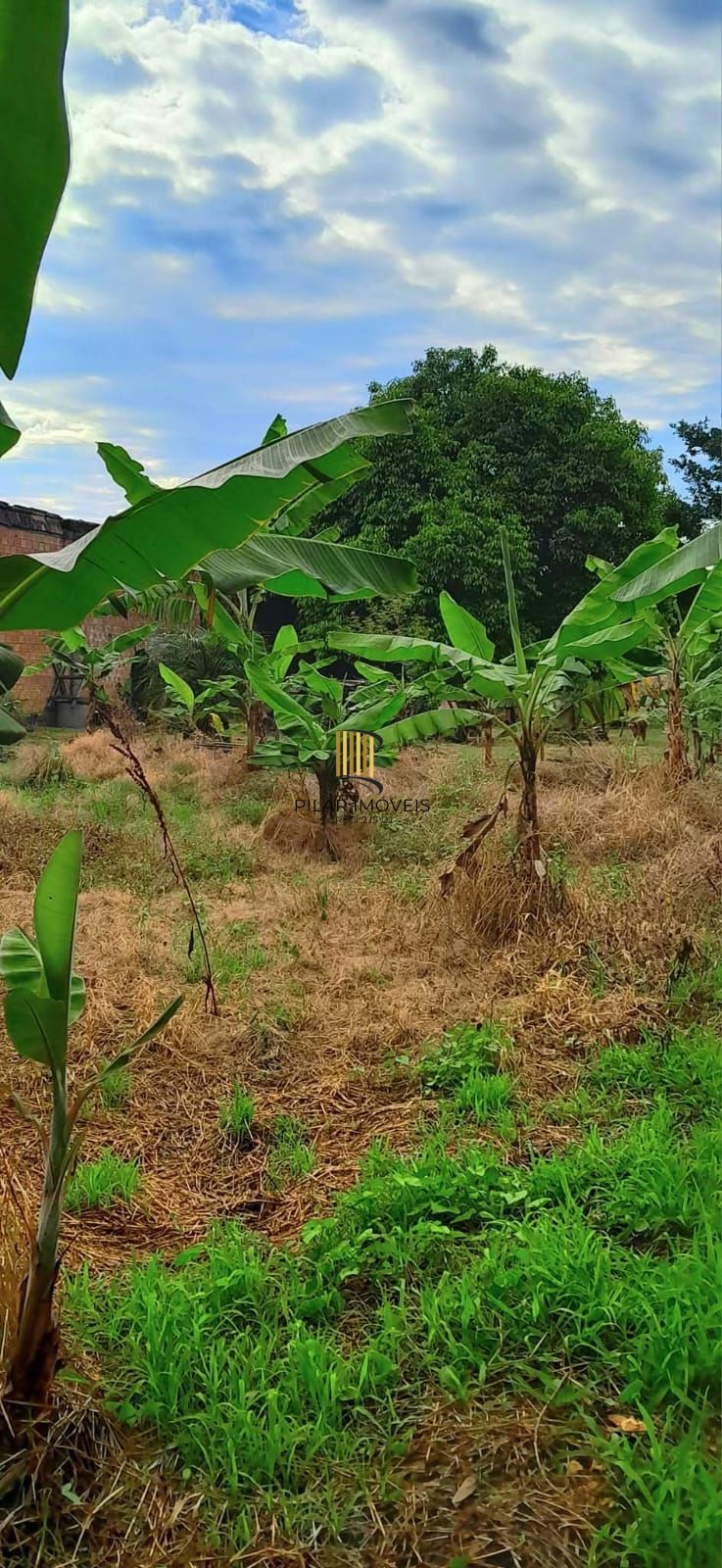 Terreno no Bairro Ponta Grossa