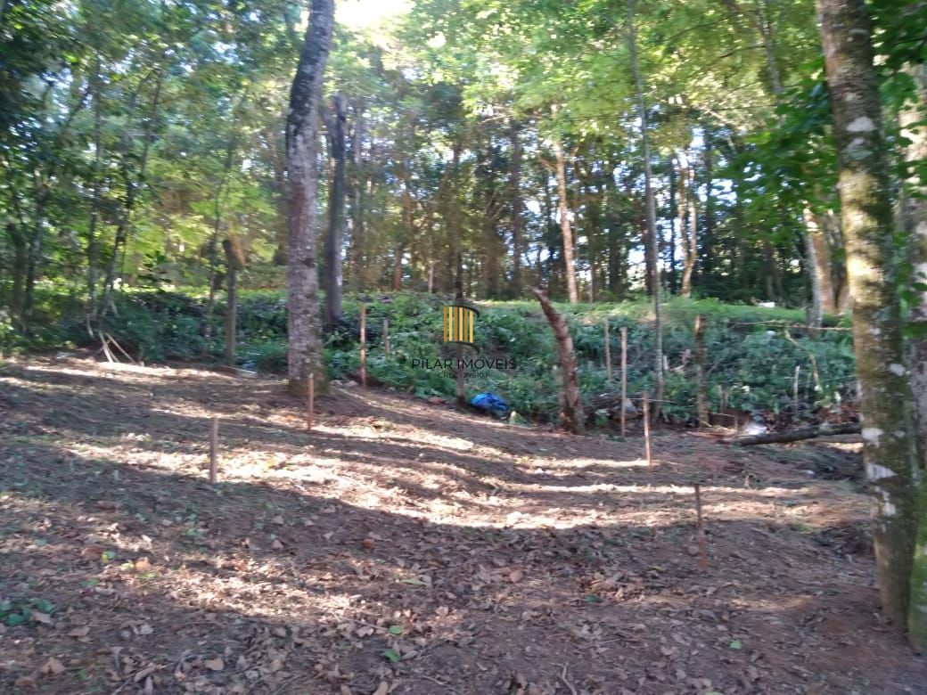 Terreno no Bairro Hípica