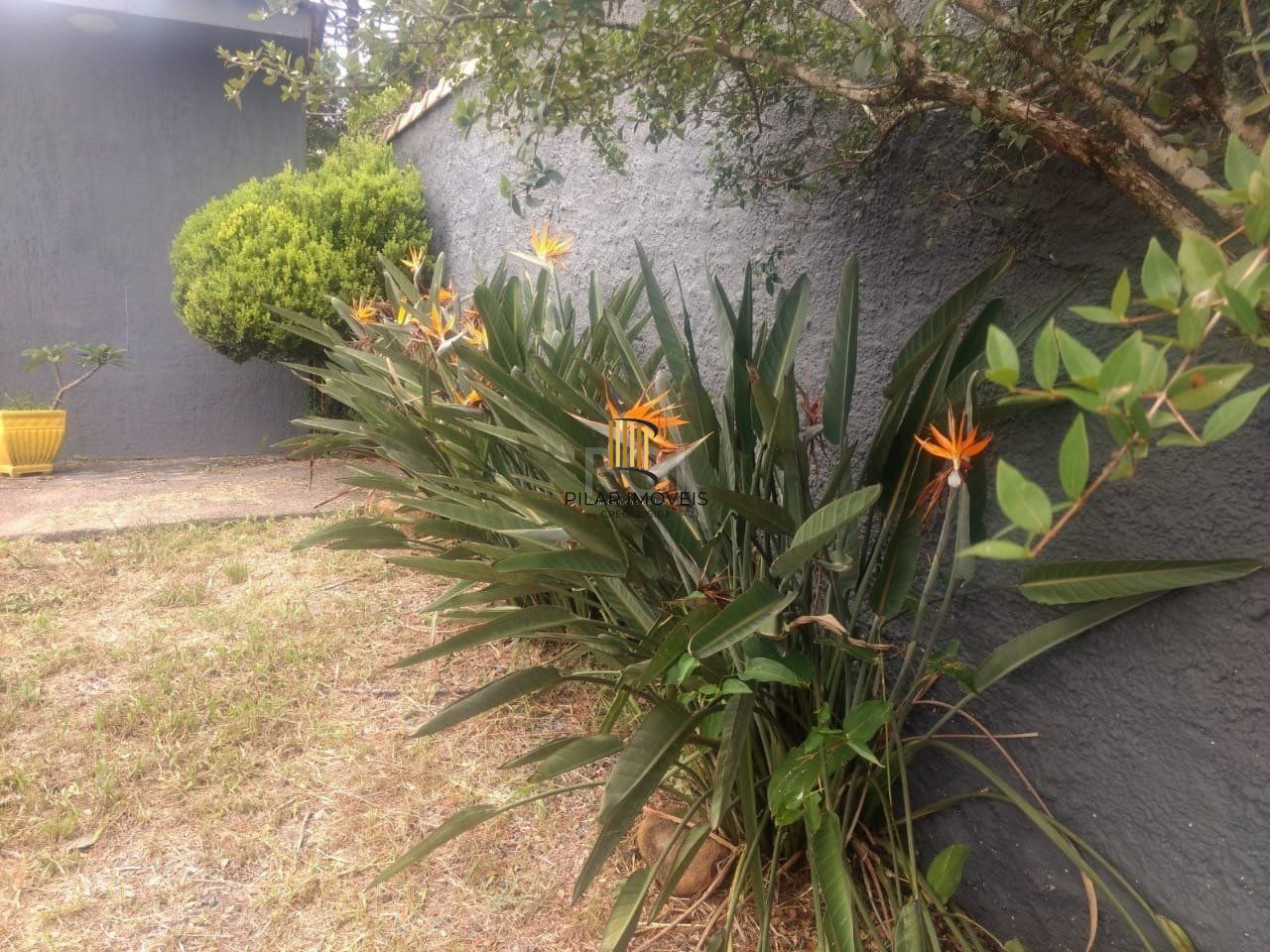 Terreno a venda no bairro Gloria - Av. Oscar Pereira
