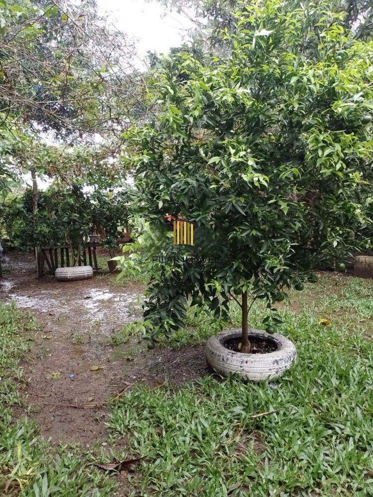 Casa com 3 dormitórios no bairro Restinga