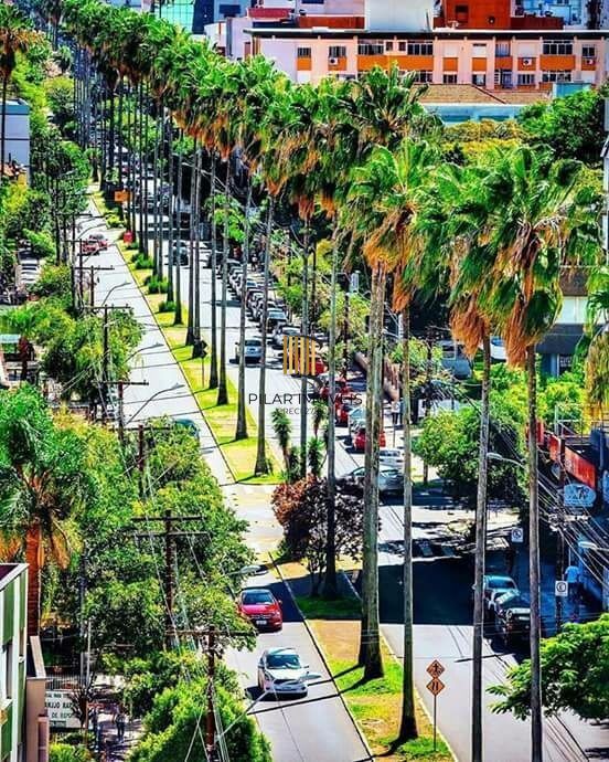 Apartamento 2 dormitórios no bairro Menino Deus