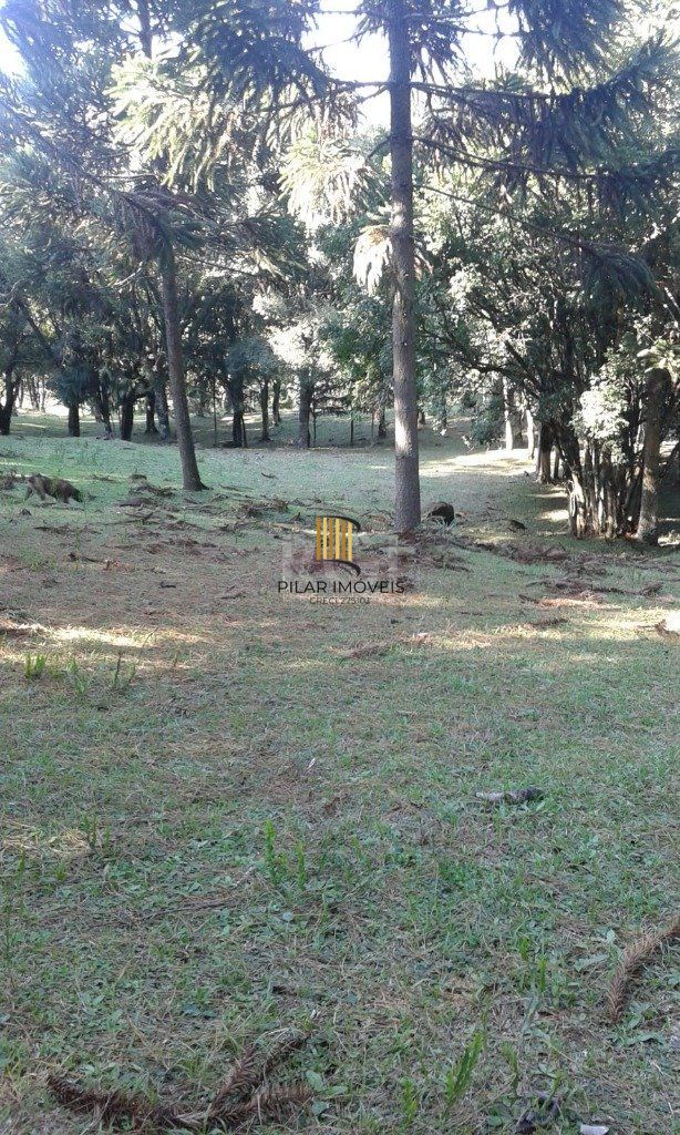 Sítio para Venda - 230m², 3 dormitórios, sendo 1 suites, 4 vagas - Centro