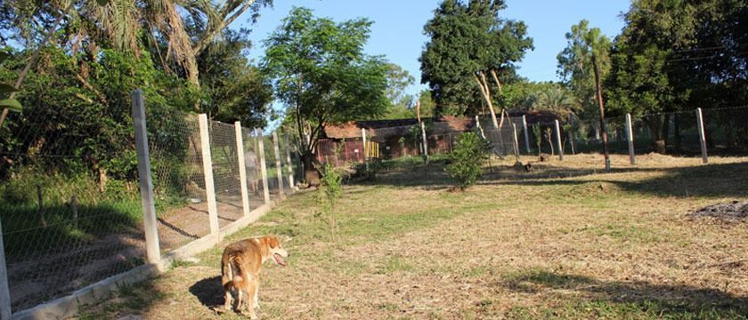 Sítio 1 dormitório no bairro Itapuã